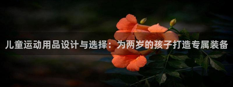 哈哈体育软件:儿童运动用品设计与选择:为两岁的孩子打造专属装