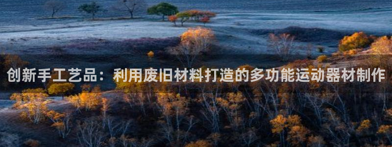 哈哈体育官方:创新手工艺品:利用废旧材料打造的多功能运动器材